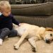 Neonato e cane: Tutto quello che c’è da sapere